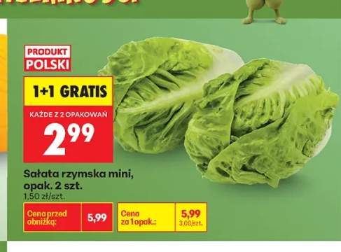 Sałata rzymska mini
