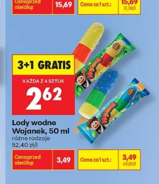 Lody wodne Wojanek