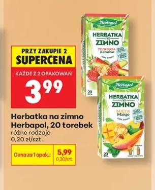 Herbatka na zimno Herbapol Truskawka Rabarbar +1 wariant