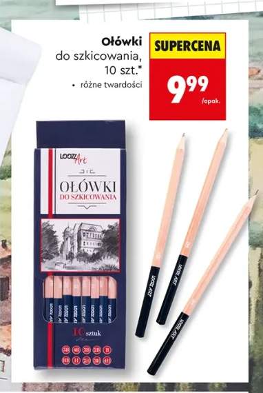 Ołówki do szkicowania Loozz Art 10 sztuk