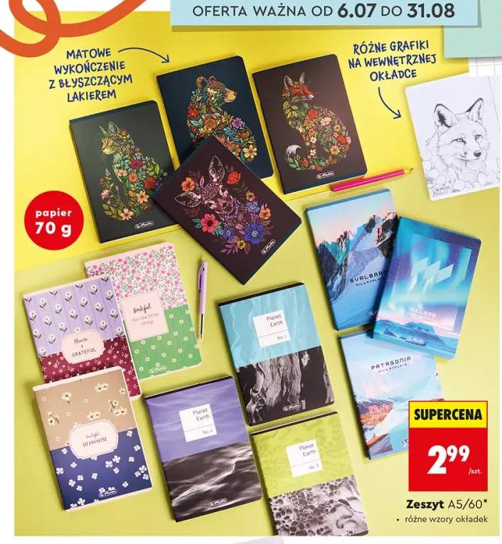 Zeszyt A5/60 Herlitz różne wzory