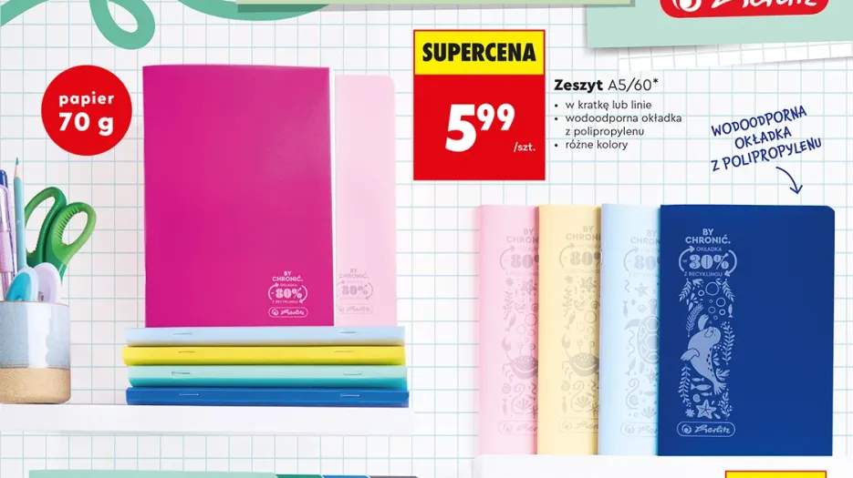 Zeszyt A5/60* Herlitz