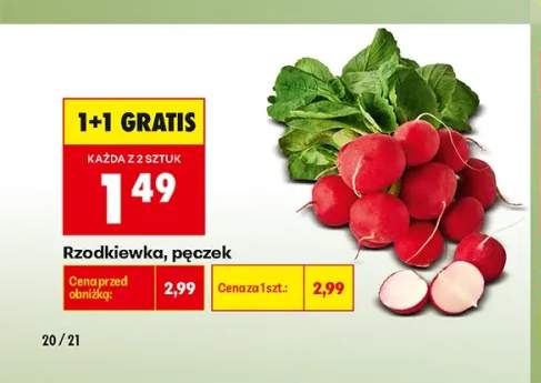 Rzodkiewka