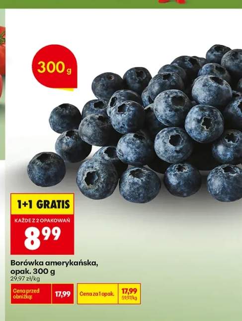 Borówka amerykańska