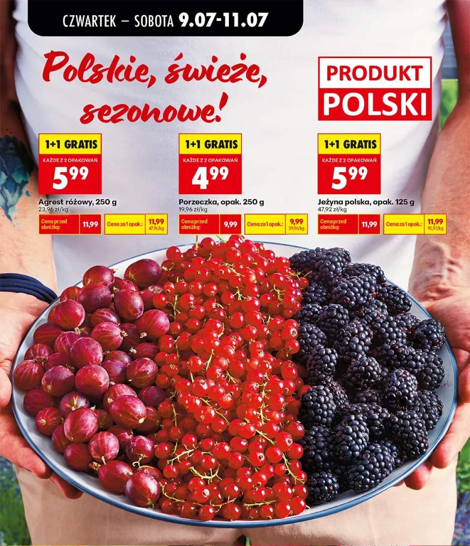 Porzeczka +2 warianty