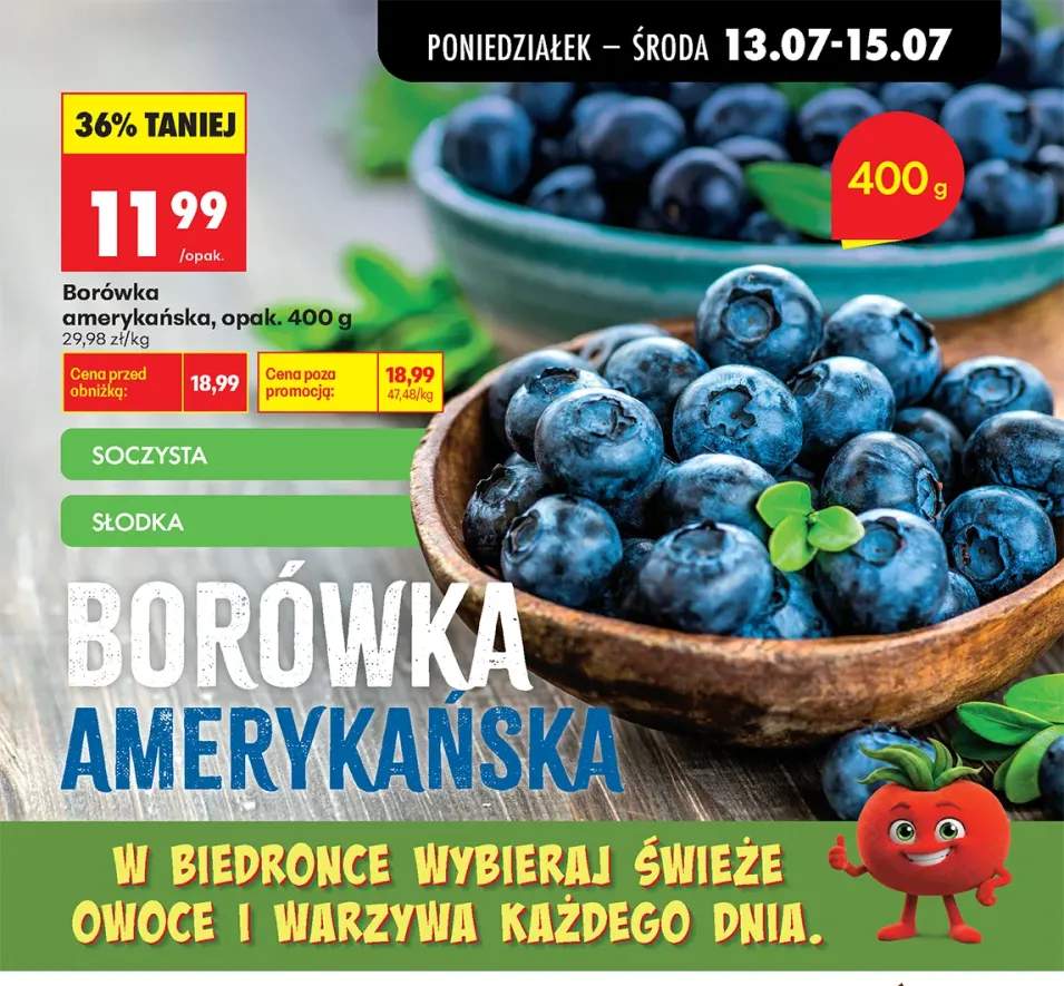 Borówka amerykańska