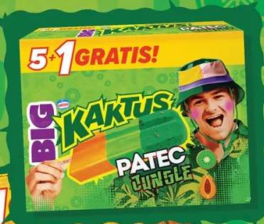 Lody Kaktus Big Jungle 6-pak