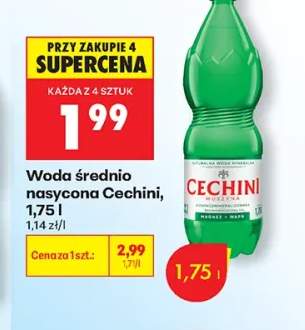 Woda średnio nasycona Cechini