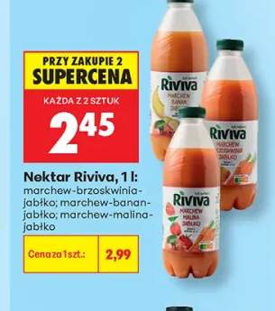 Nektar Riviva marchew banan jabłko +2 warianty