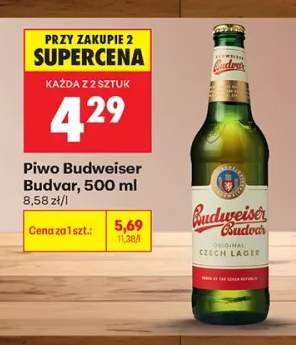 Piwo Budweiser Budvar