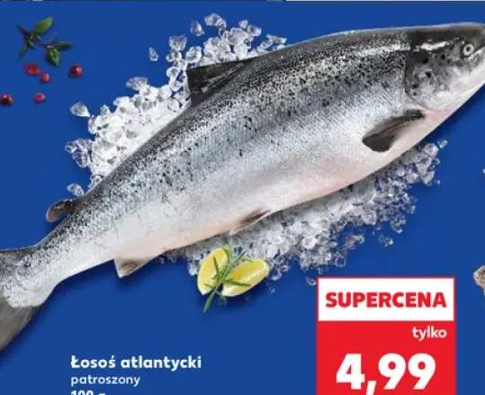 łosoś patroszony