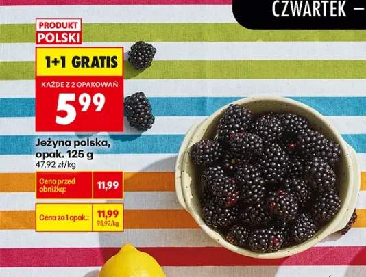 Jeżyna polska