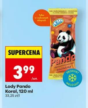 Lody Pando Koral
