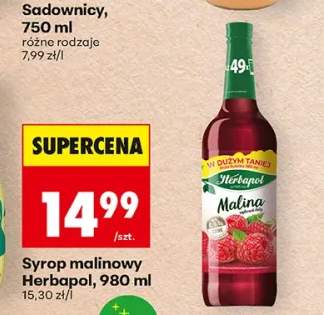 Syrop malinowy Herbapol