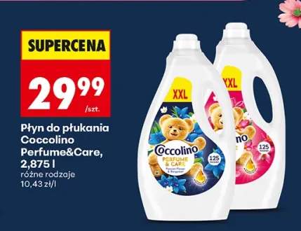 Płyn do płukania Coccolino Perfume & Care Passion Flower & Bergamot +1 wariant