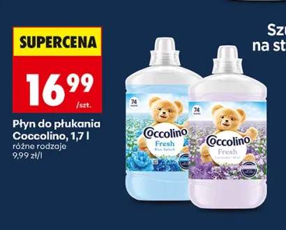 Płyn do płukania Coccolino Blue Splash +1 wariant