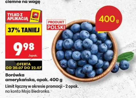 Borówka amerykańska