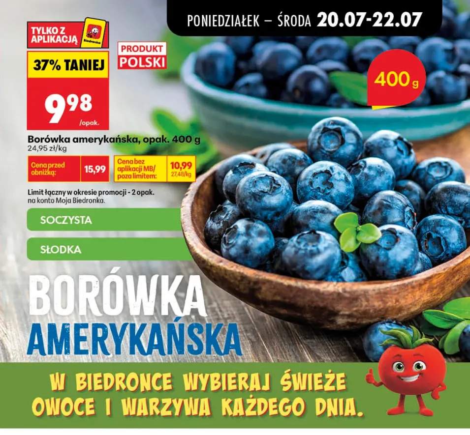 Borówka amerykańska