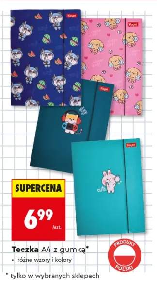Teczka A4 z gumką Kayet