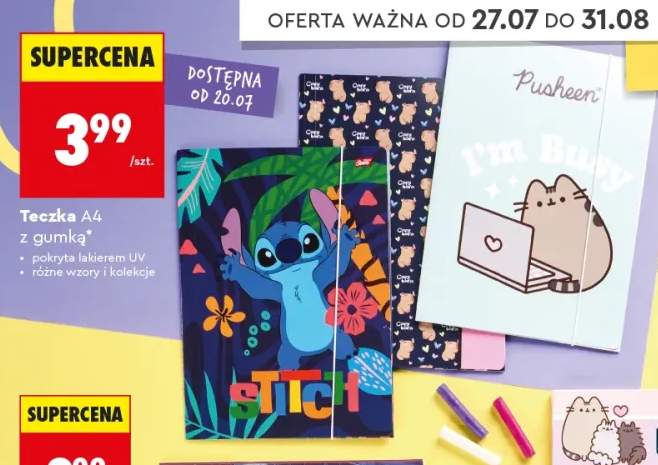 Teczka A4 z gumką St. Majewski