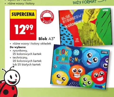 Blok rysunkowy A3 LOOZZ 25 kolorowych kartek +2 warianty