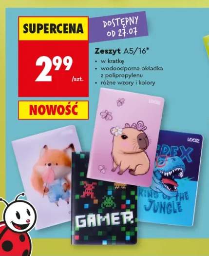 Zeszyt A5 LOOZZ 16 kartek