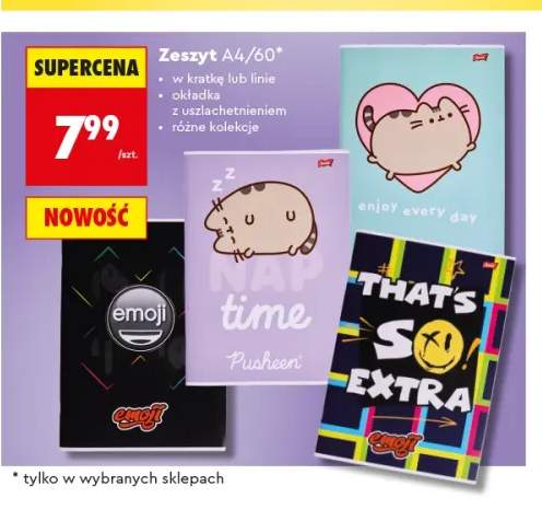 Zeszyt A4 60 kartek St. Majewski