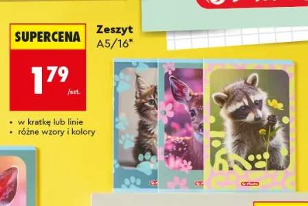 Zeszyt A5/16 Herlitz
