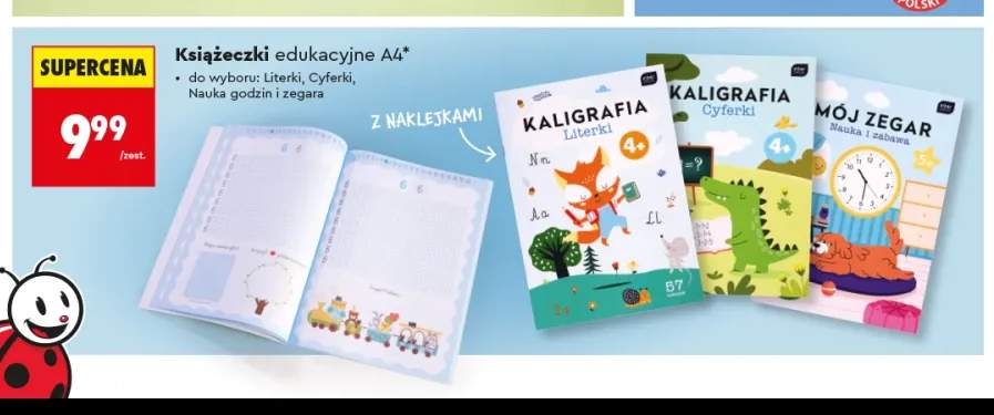 Książeczka edukacyjna A4 Kaligrafia Literki Interdruk +1 wariant