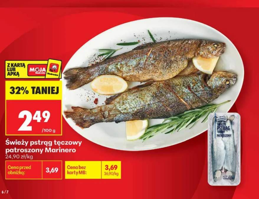 Świeży pstrąg tęczowy patroszony Marinero