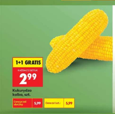 Kukurydza kolba