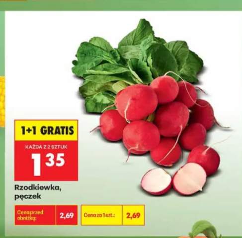Rzodkiewka