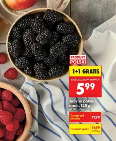 Jeżyna polska