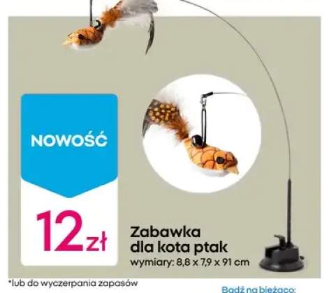 zabawka dla kota
