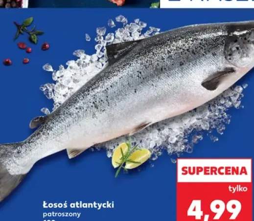 łosoś patroszony