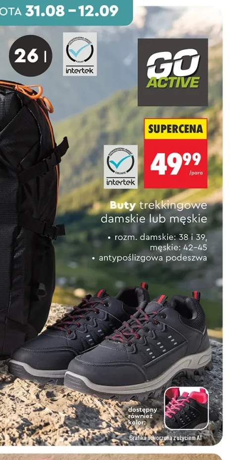 Buty trekkingowe damskie GO ACTIVE +1 wariant