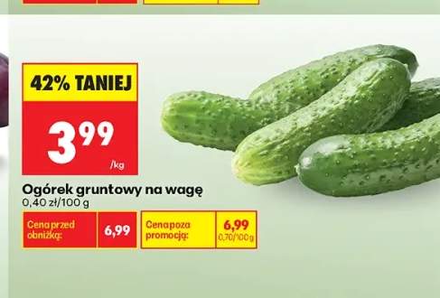 Ogórki gruntowe