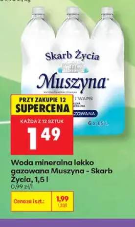 Woda mineralna lekko gazowana Muszyna Skarb Życia