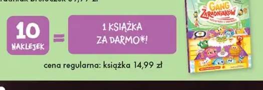 Książka Gang Zaradniaków