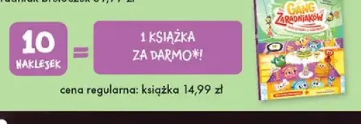 Książka Gang Zaradniaków