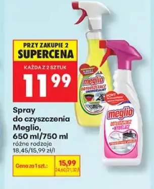 Spray do czyszczenia Meglio
