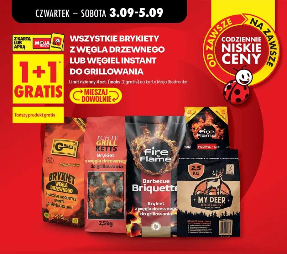 Brykiet z węgla drzewnego Grilex +5 wariantów