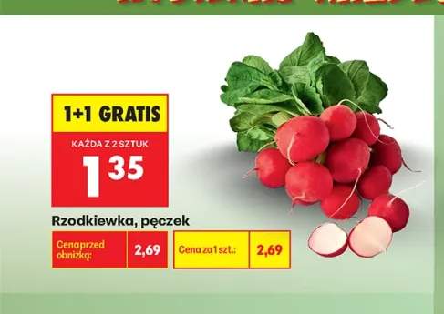 Rzodkiewka