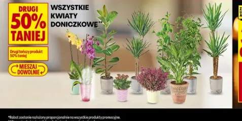 Kwiaty doniczkowe
