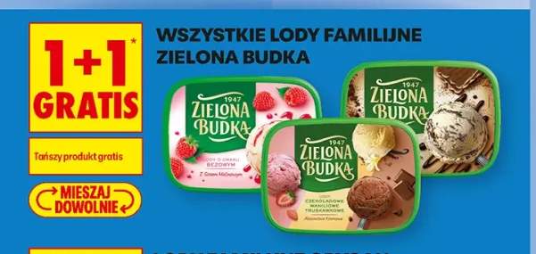 Lody familijne Zielona Budka +2 warianty