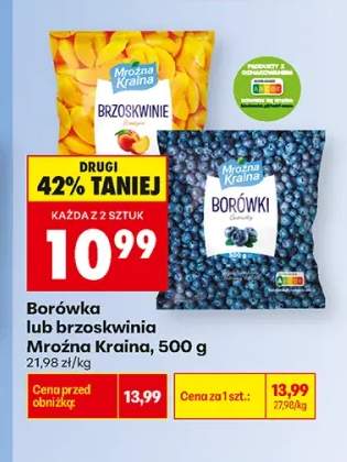 Borówka Mroźna Kraina +1 wariant