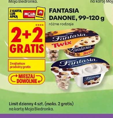 Jogurt Fantasia Danone