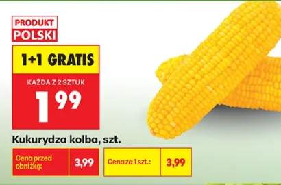 Kukurydza kolba