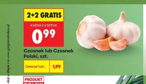 Czosnek polski +1 wariant