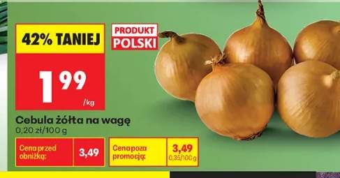 Cebula żółta polska na wagę